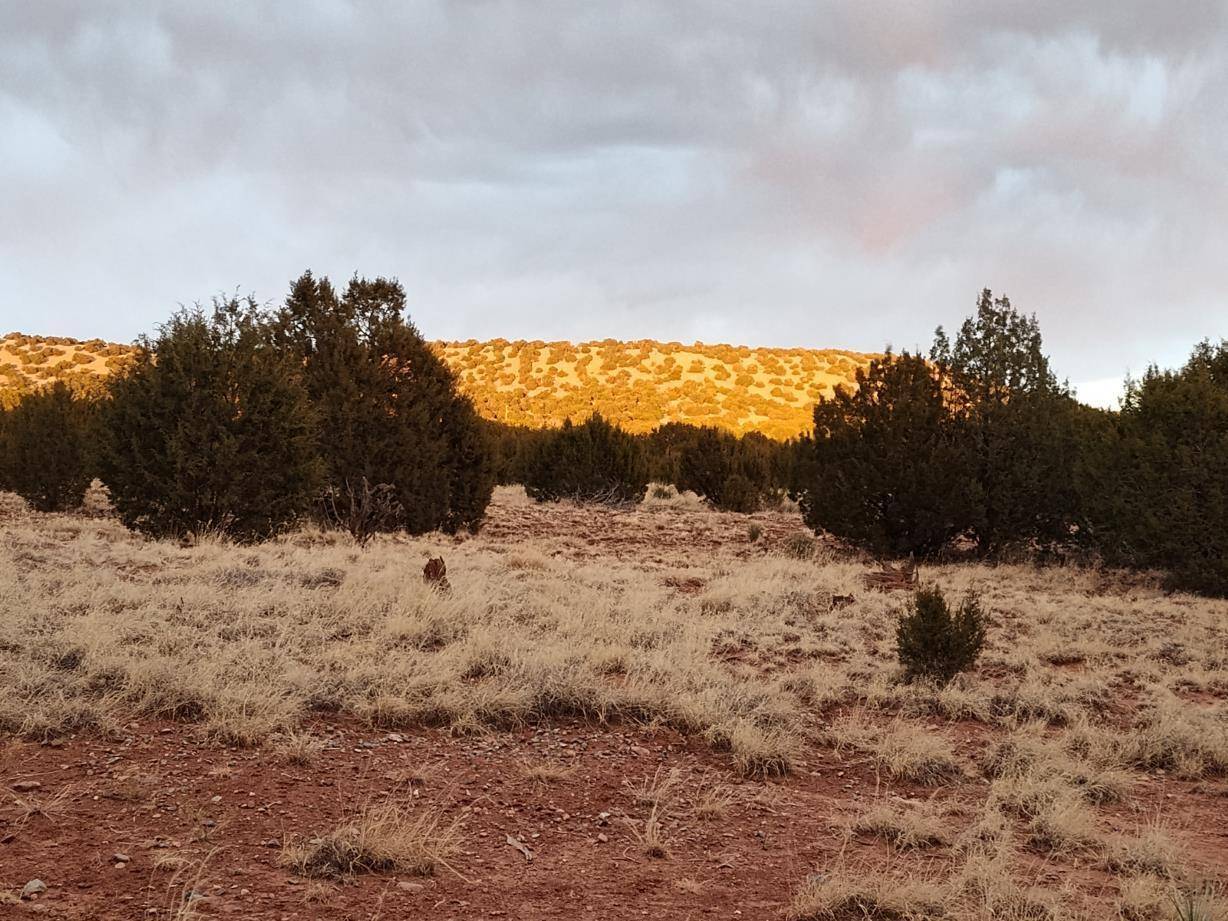Mountainair, NM 87036,268 OLD ABO TRL