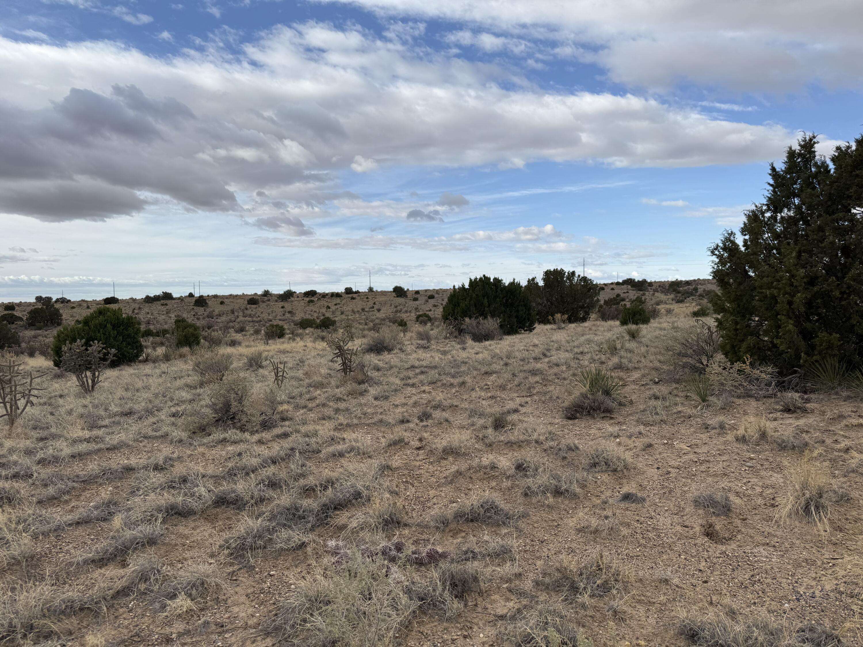 Rio Rancho, NM 87144,Lot 34 Zebra Ct NW