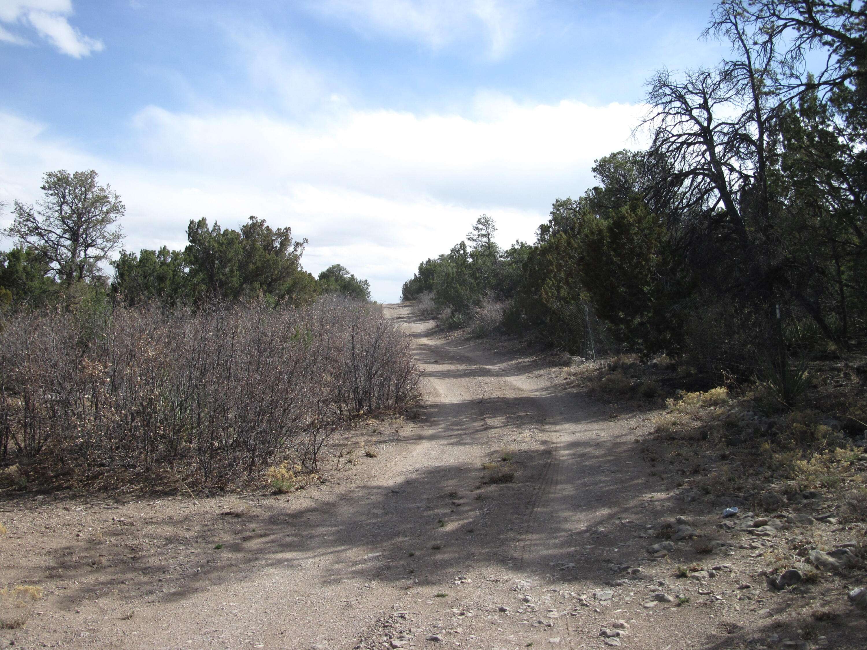 Edgewood, NM 87015,Bella Vista Lots I and J