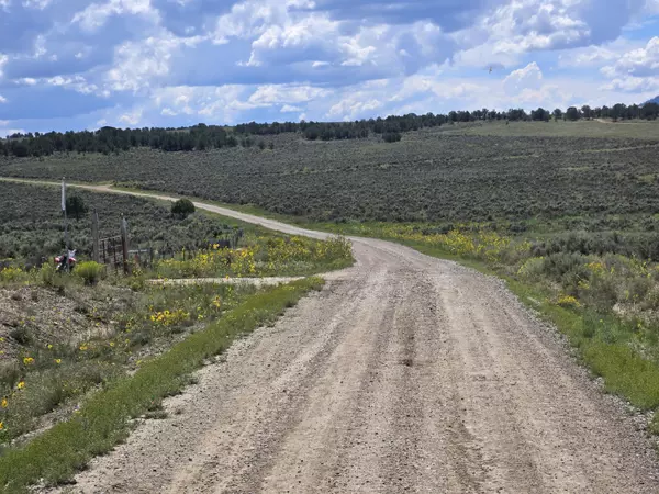 Tierra Amarilla, NM 87575,Unit 10 Tract 243 El Vado Lake Subd.