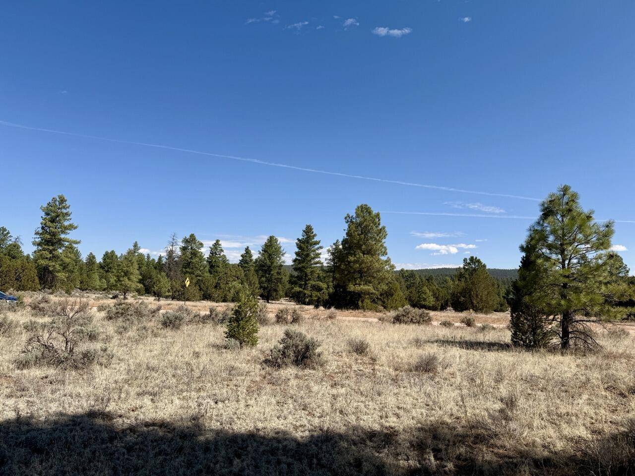 Ramah, NM 87321,Lot 24 Timberlake RD