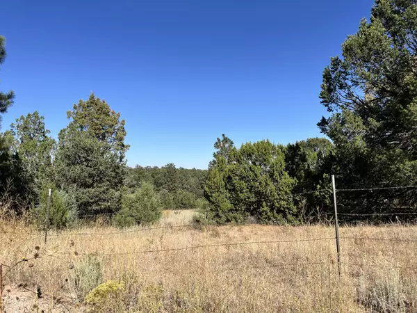 Tijeras, NM 87059,5 CAMINO PLATA CT