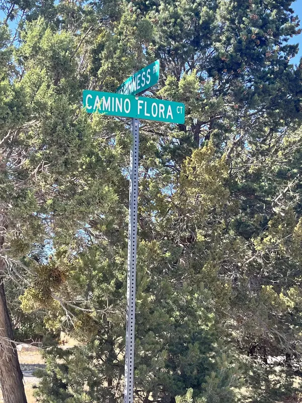 Tijeras, NM 87059,6 Camino Flora