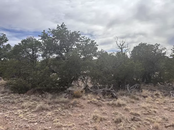 Magdalena, NM 87825,Lot 150 Pinon Springs