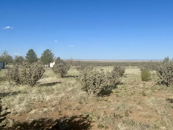 Edgewood, NM 87015,28 Calle Viernes