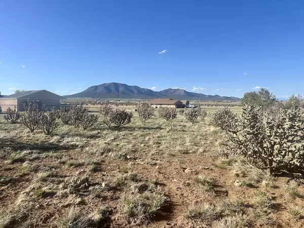 Edgewood, NM 87015,28 Calle Viernes