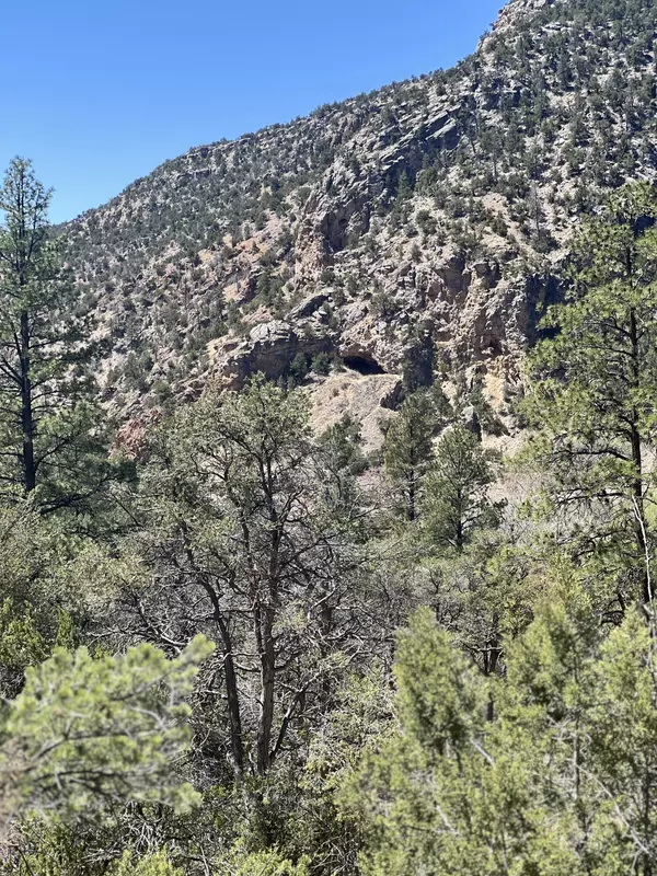 Jemez Springs, NM 87025,1A2A Calle Pinon