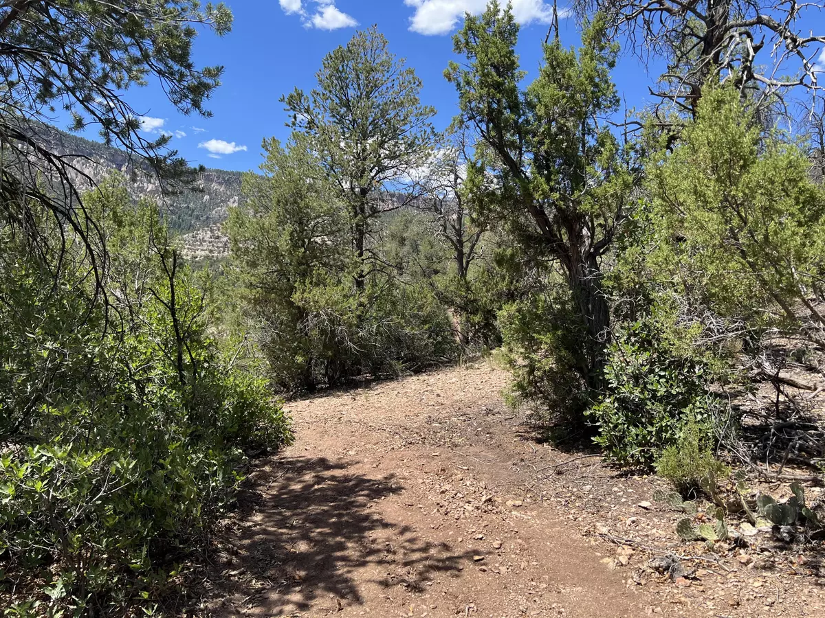 Jemez Springs, NM 87025,1A2A Calle Pinon