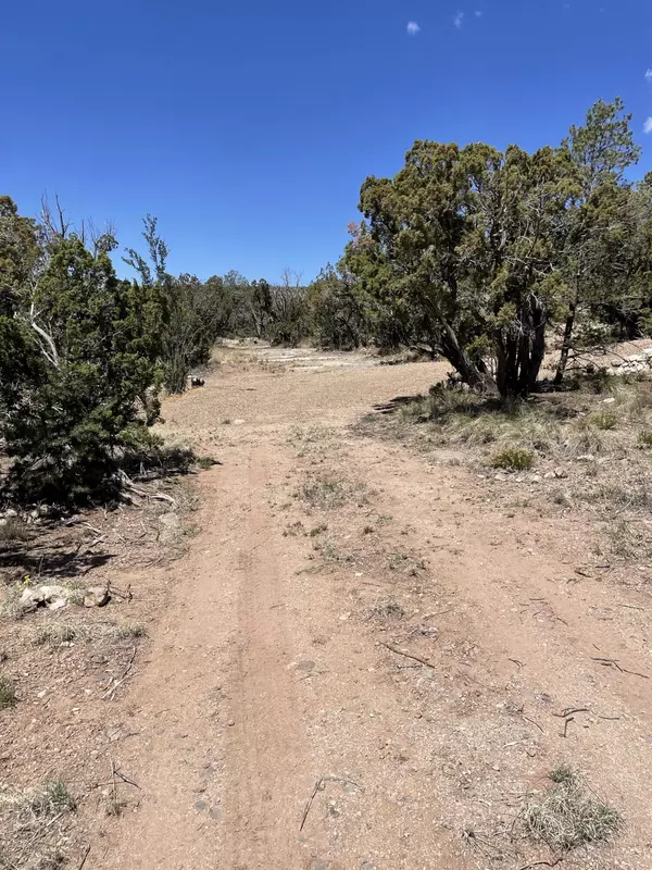 Edgewood, NM 87015,36 MORPER LN