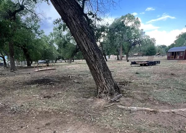 Peralta, NM 87042,8 WILDWOOD LN