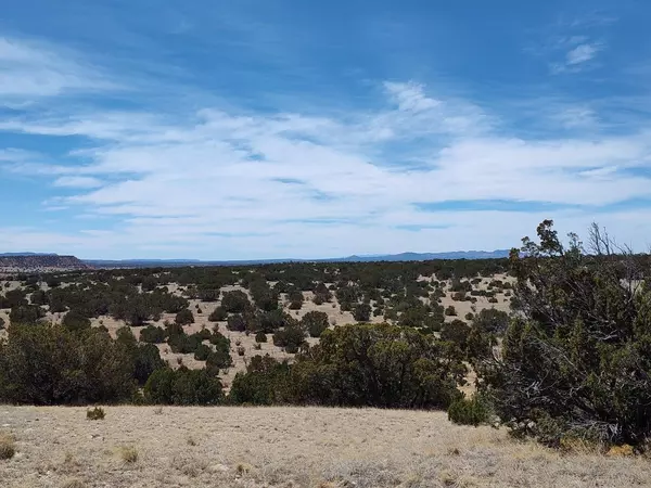 Mountainair, NM 87036,Highway 60