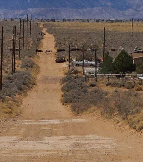 Los Lunas, NM 87031,Hormiga Lot 55D CT