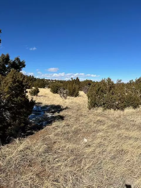 Sandia Park, NM 87047,Kings Meadow RD