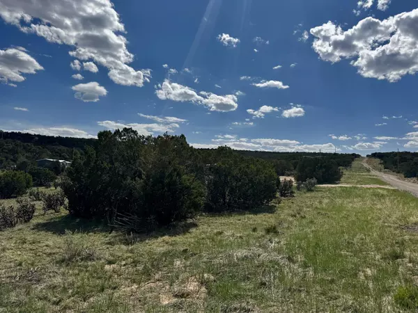 Edgewood, NM 87015,226 Nugent RD