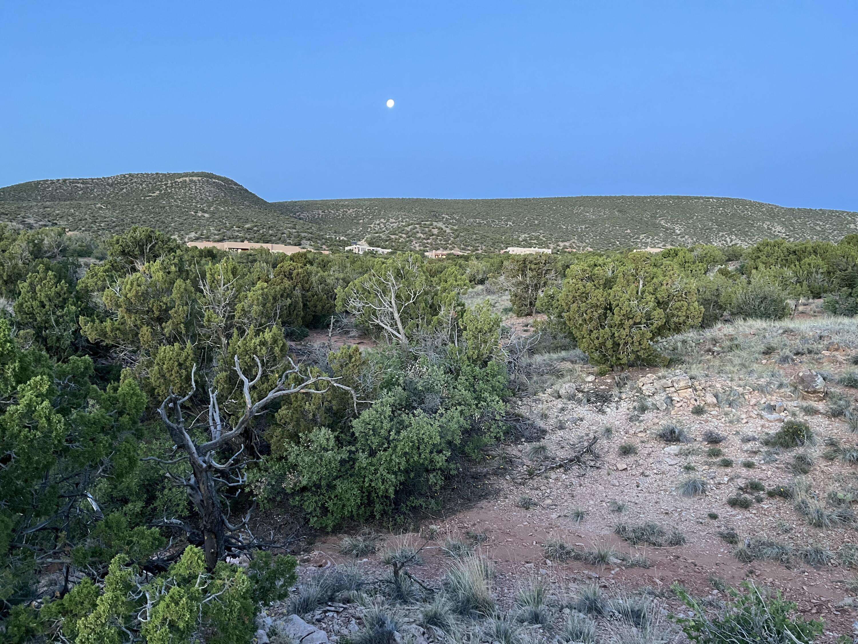 Placitas, NM 87043,101 Wild Primrose RD