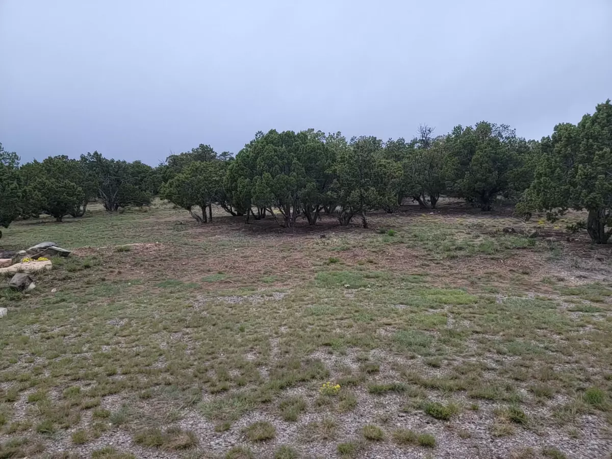 Edgewood, NM 87015,100 High Vista CT