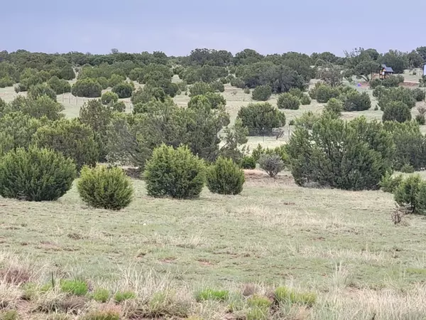 95 Woodland DR, Edgewood, NM 87015