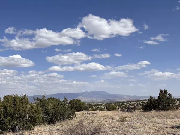 Magdalena, NM 87825,Lot 173 Pinon Springs Ranch