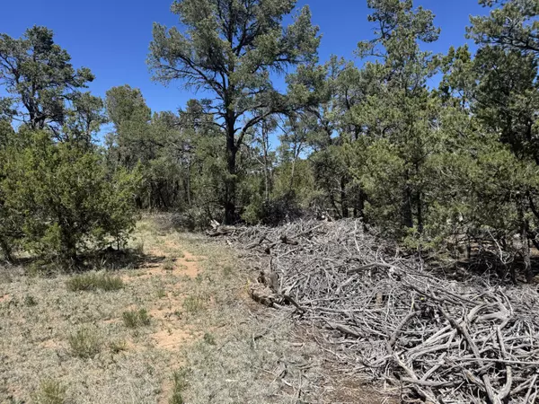 Edgewood, NM 87015,Tract 4 Gonzales