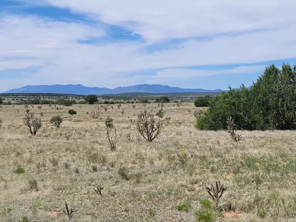 61 Brazos LOOP, Estancia, NM 87016