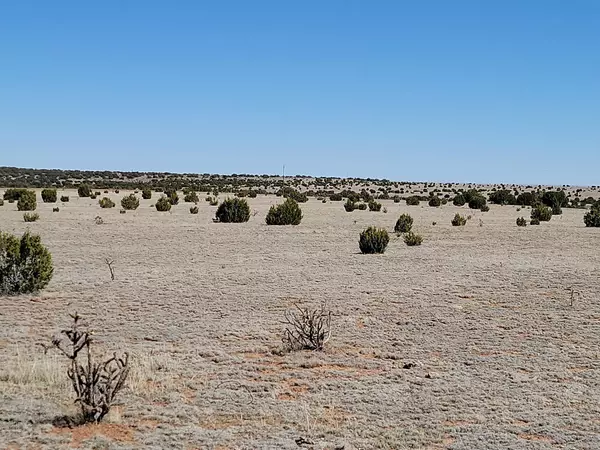 Estancia, NM 87016,115 Brazos LOOP