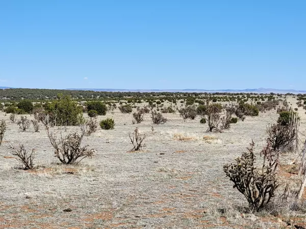 135 Brazos LOOP, Estancia, NM 87016