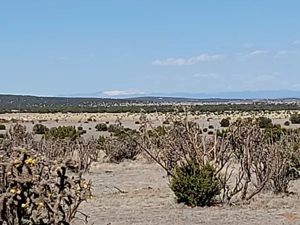 165 Brazos LOOP, Estancia, NM 87016