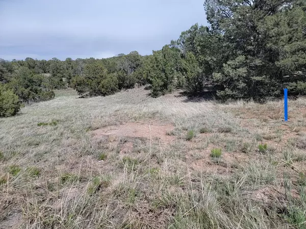 Edgewood, NM 87015,11 High Vista DR