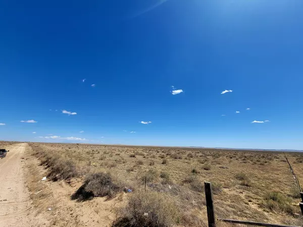 Mcintosh, NM 87032,WIllow Lake RD