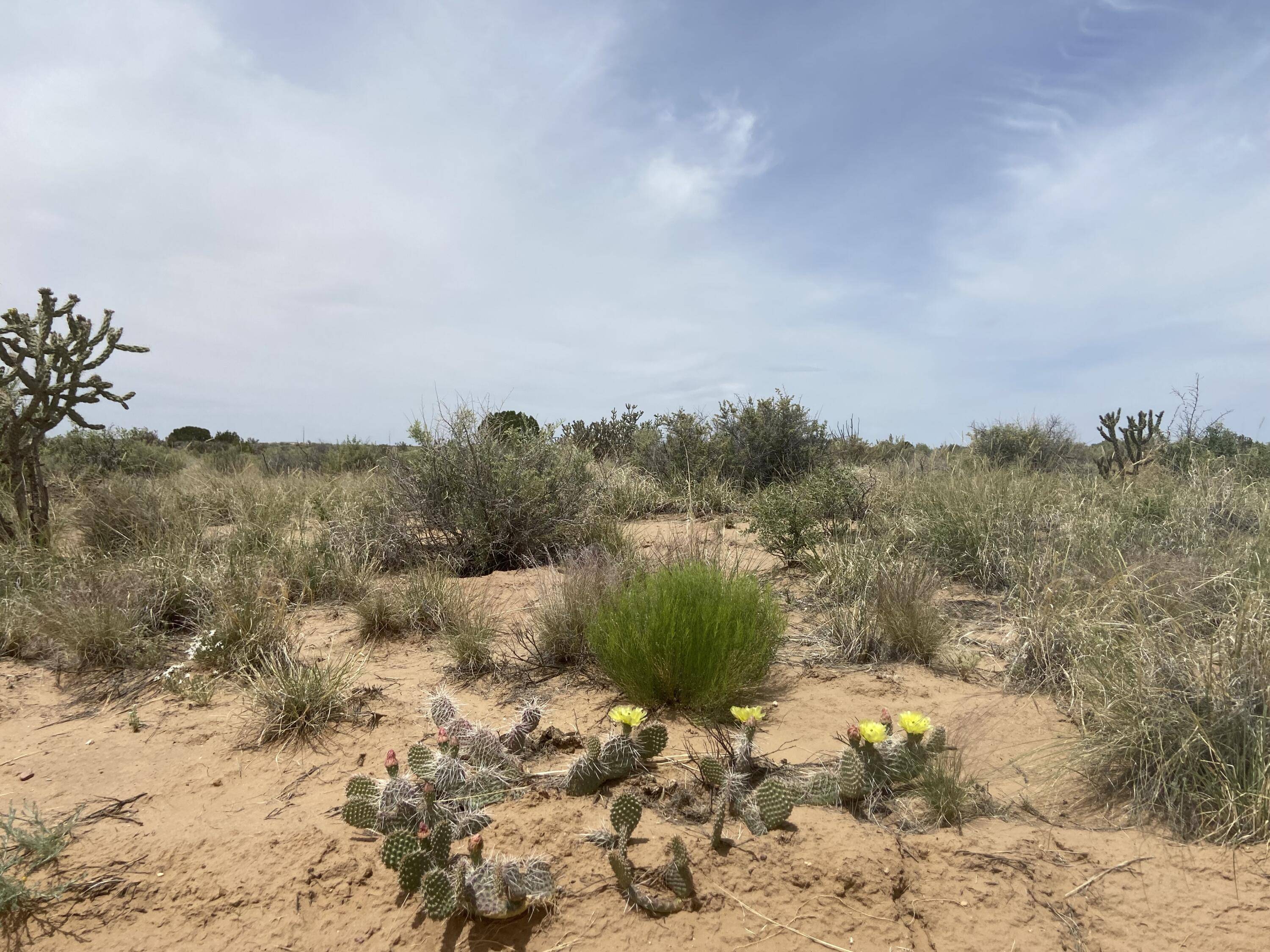 Rio Rancho, NM 87144,28th AVE NW