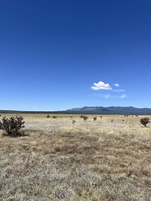 Mountainair, NM 87036,Spencer Ranch RD