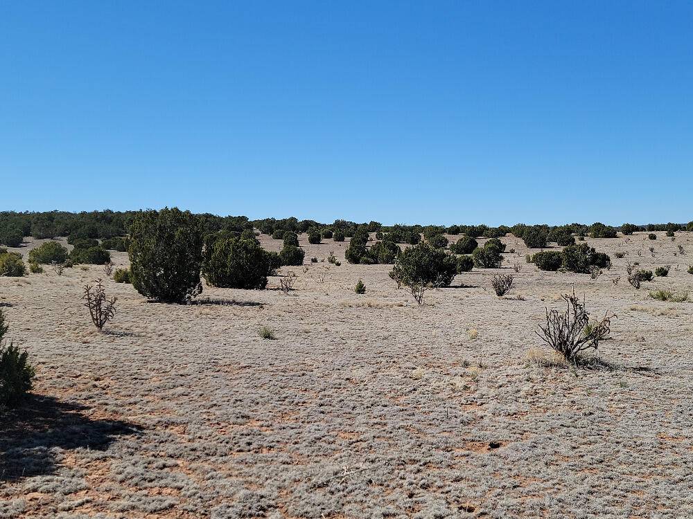 Estancia, NM 87016,86 Brazos LOOP