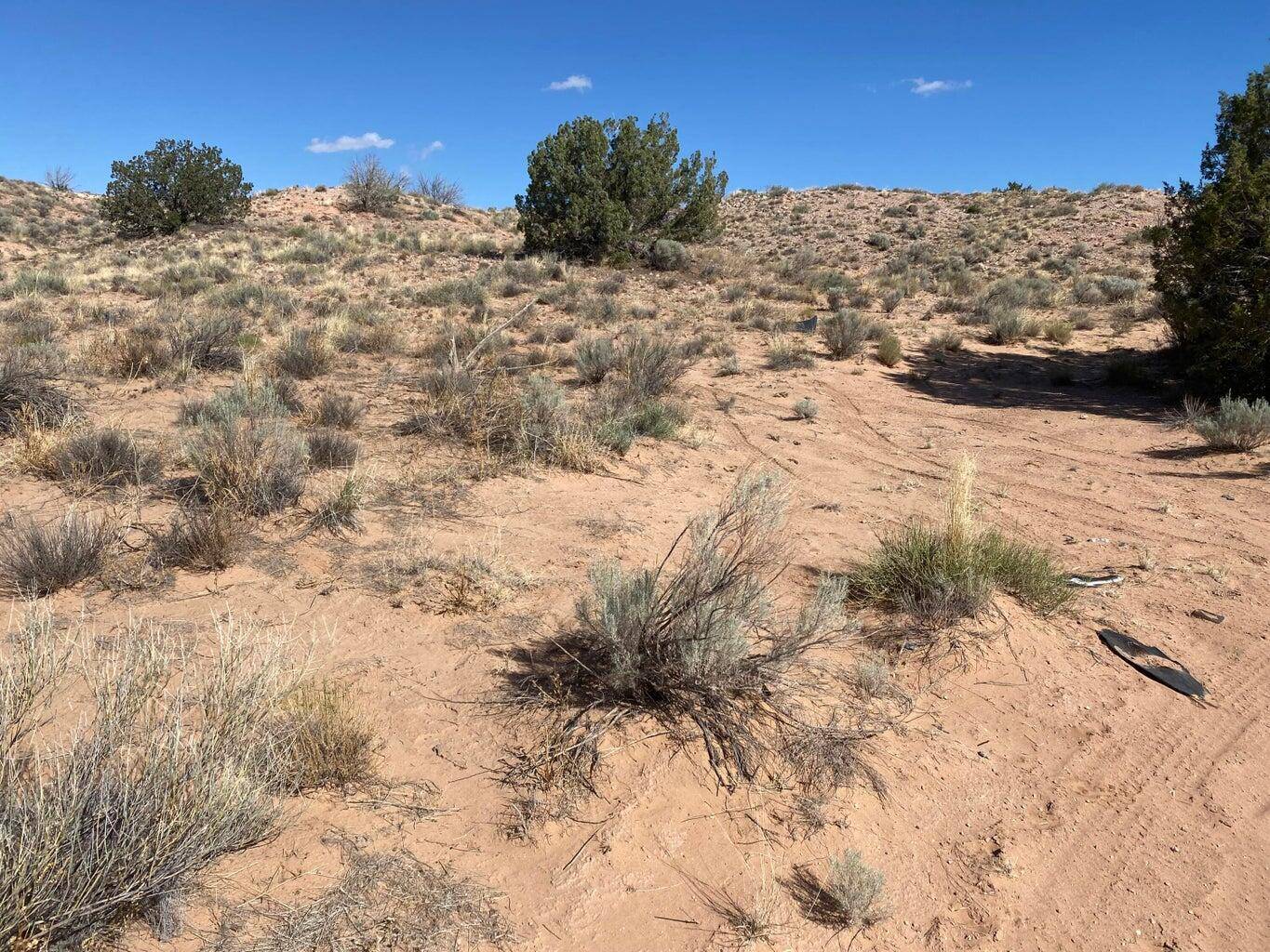 Rio Rancho, NM 87144,5411 Cyprian Road RD NE