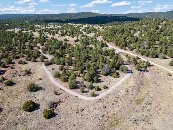 Ramah, NM 87321,Lot 18 Buttonwood DR