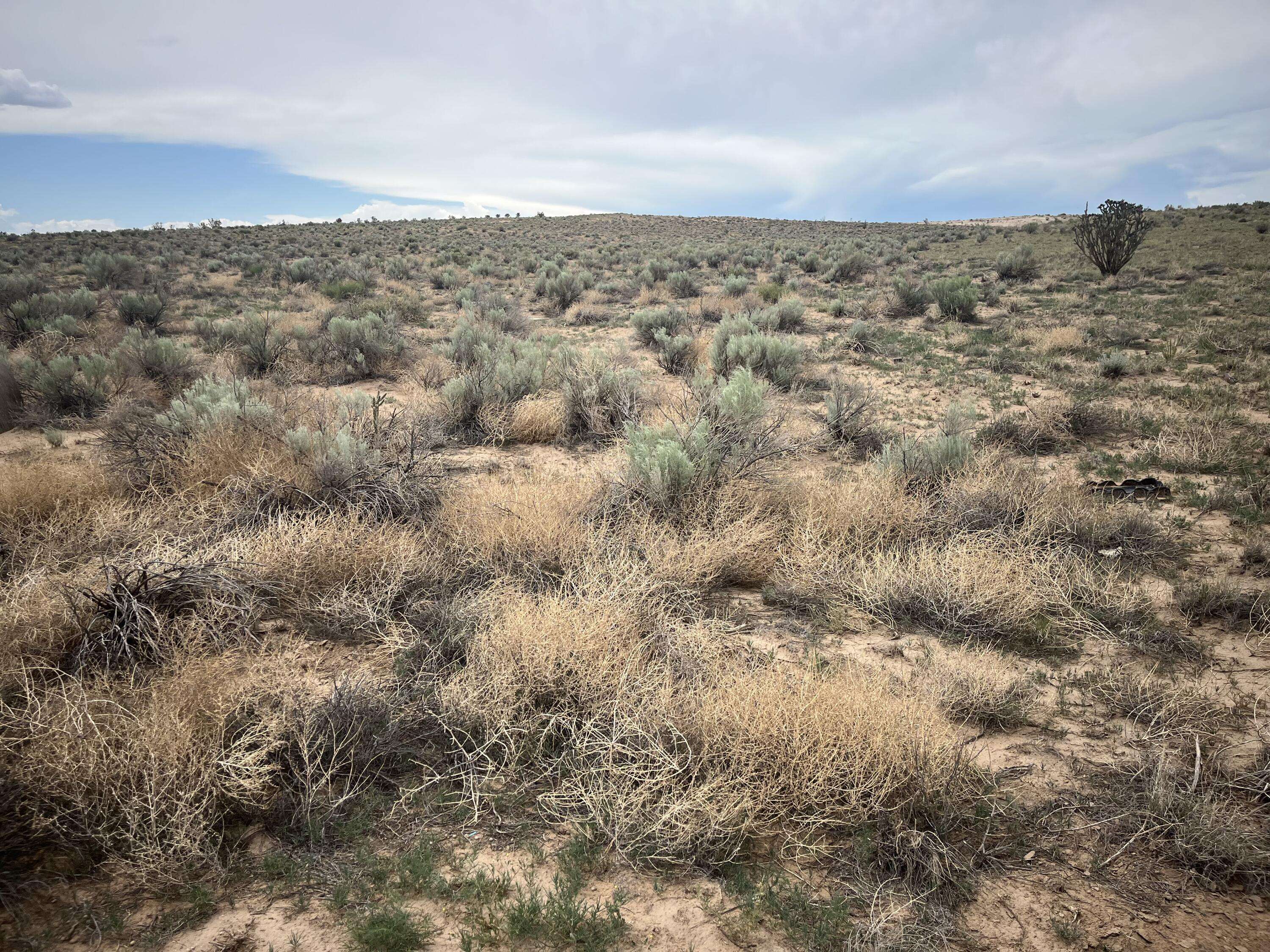 Rio Rancho, NM 87144,2619 Norwich CT NE