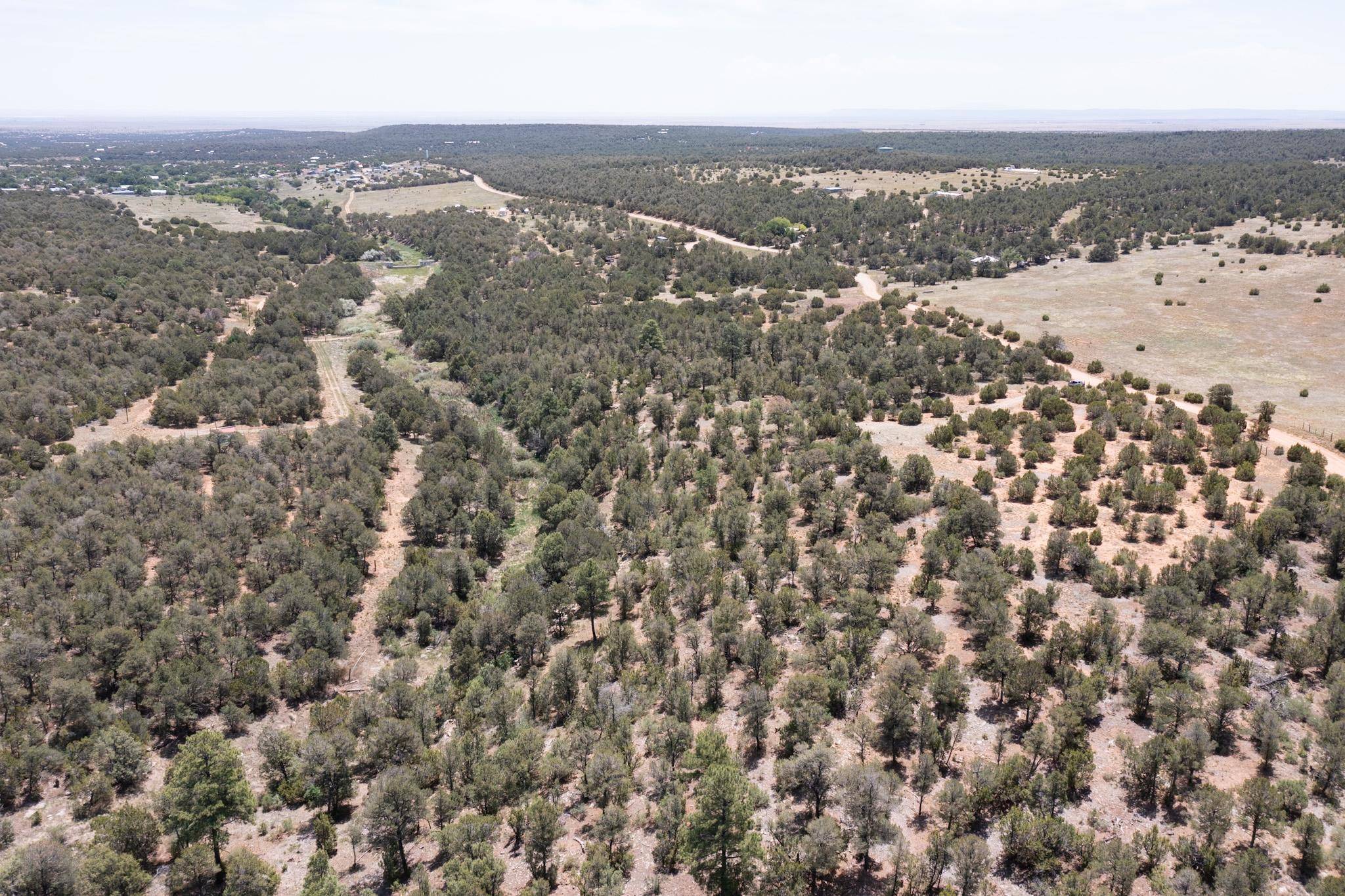 Tajique, NM 87016,Tract V-A-1 4th of July RD