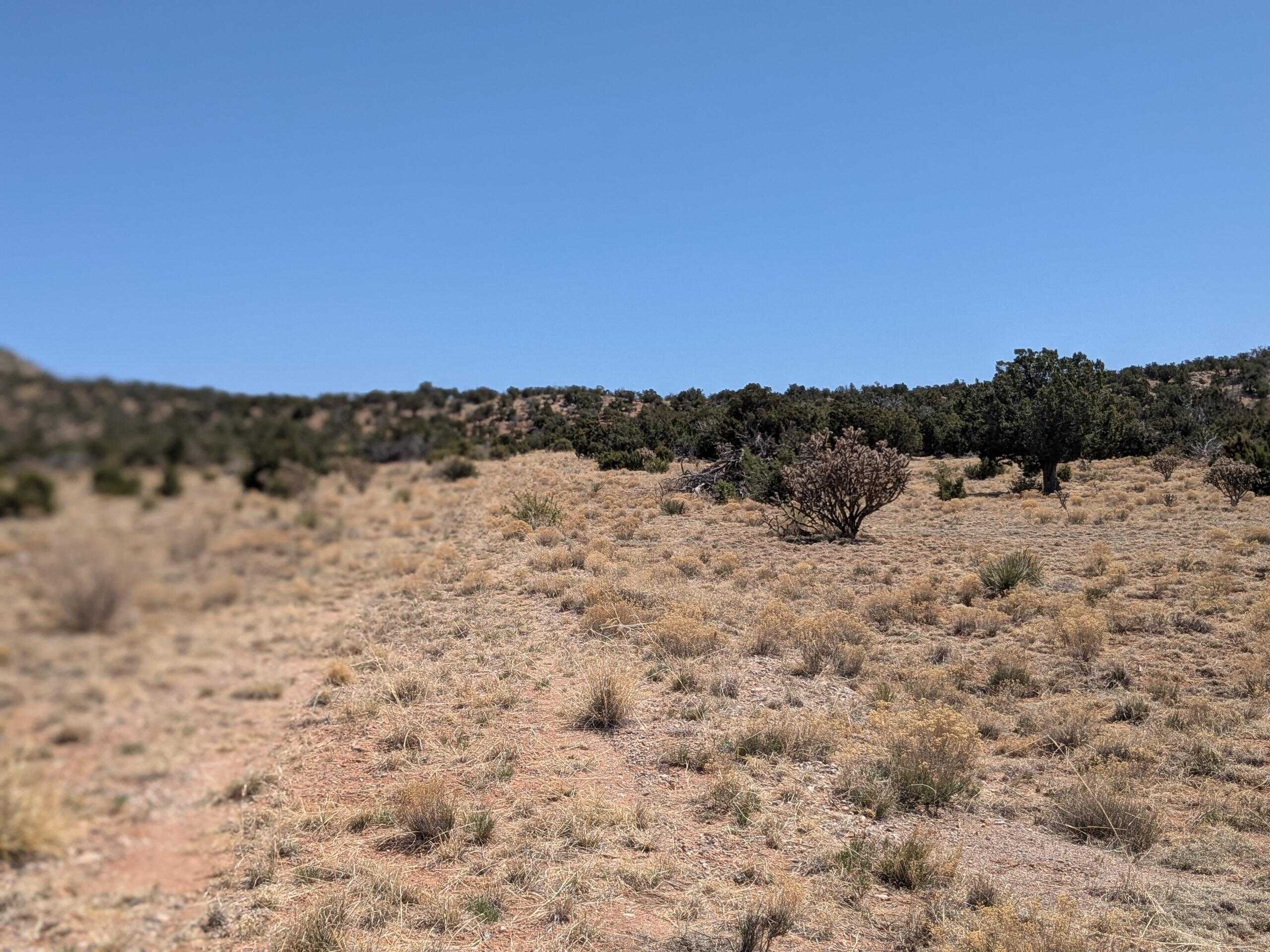 Mountainair, NM 87036,1864 DEER CANYON TRL