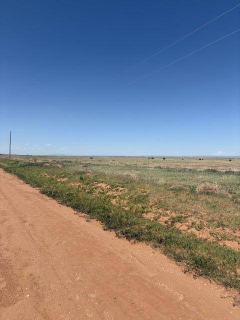 Estancia, NM 87016,Bluegrass Rd Tract 1S