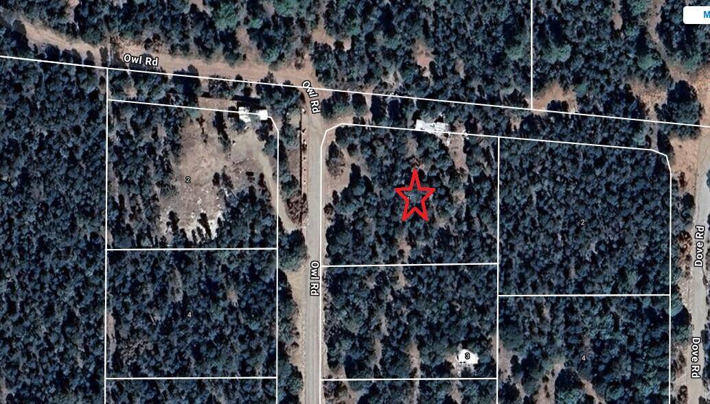 Tijeras, NM 87059,1 OWL RD