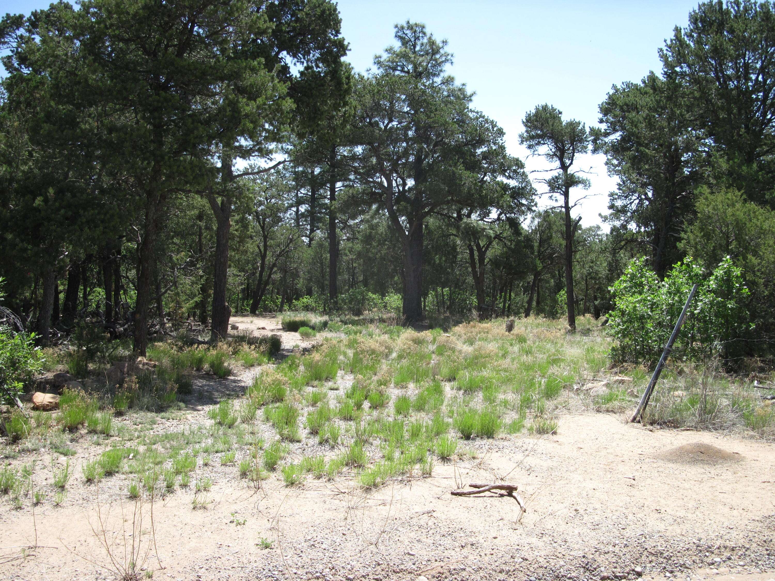 7 BLACKBIRD RD, Tijeras, NM 87059