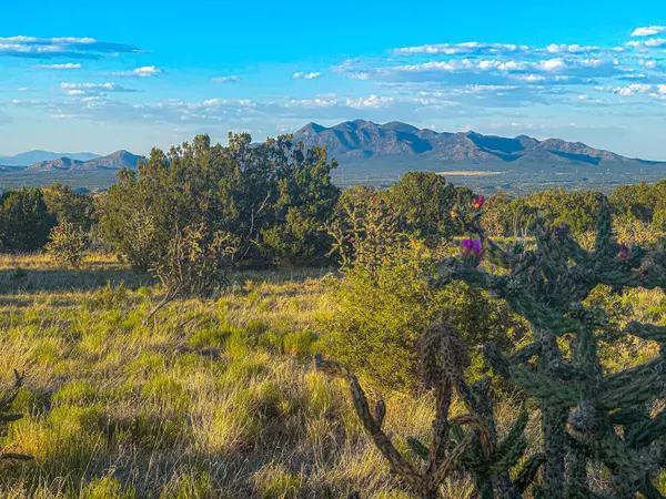 Sandia Park, NM 87047,90 Vista La Madera