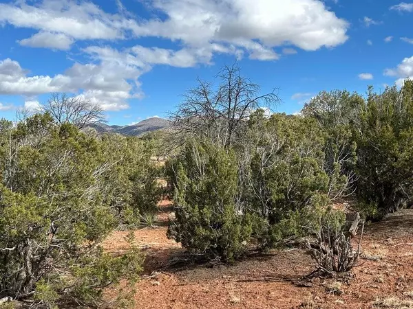 Sandia Park, NM 87047,41 Storyteller CT