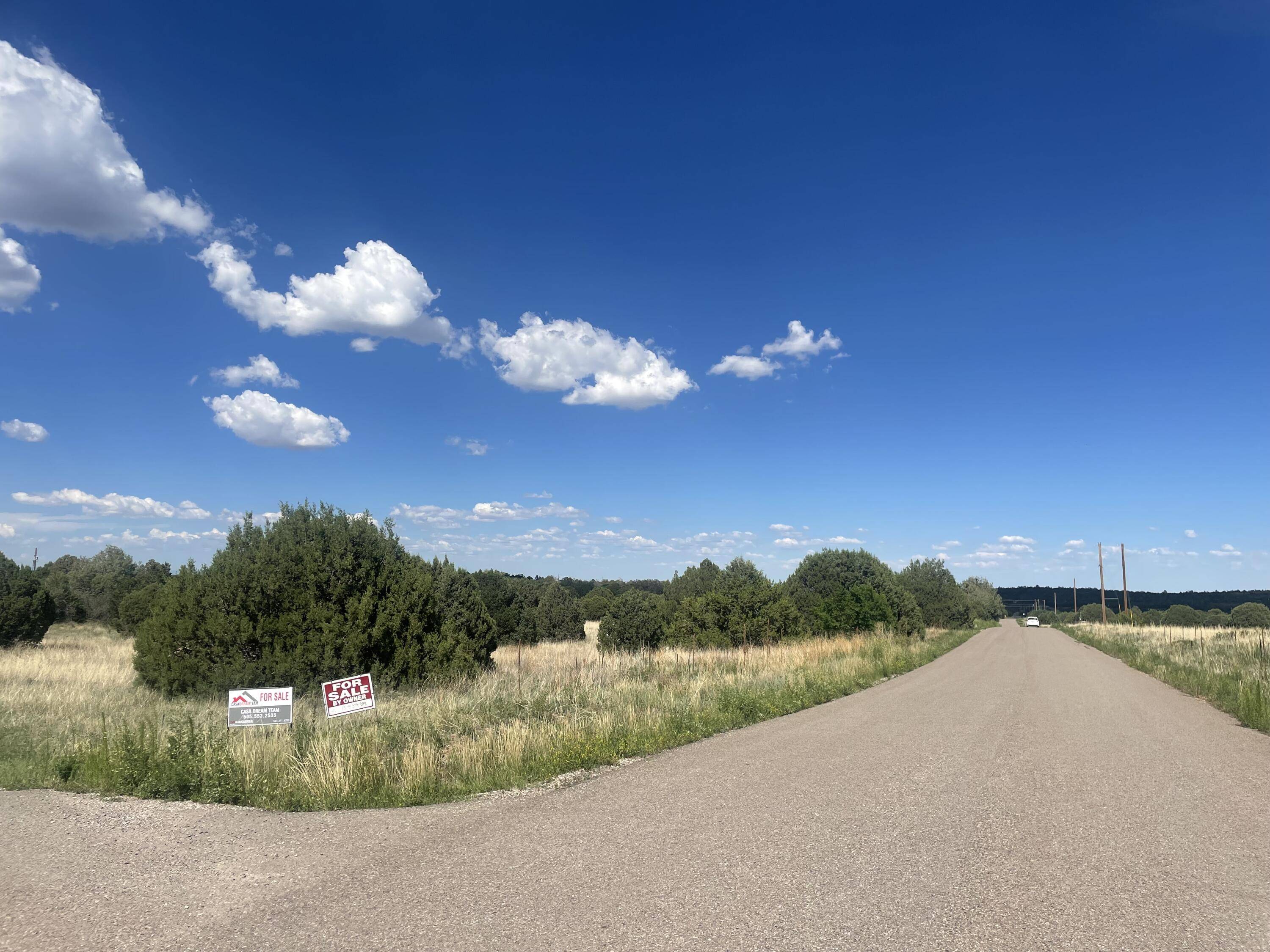 Tijeras, NM 87059,40 Rohrer PL