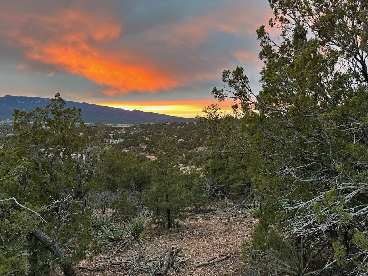 Sandia Park, NM 87047,46 LOS SUENOS