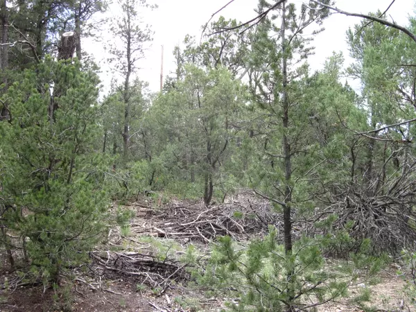 Tijeras, NM 87059,35 THUNDERBIRD LN