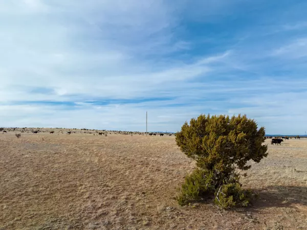 Santa Rosa, NM 88435,Portillo Creek Ranch, Tract 12