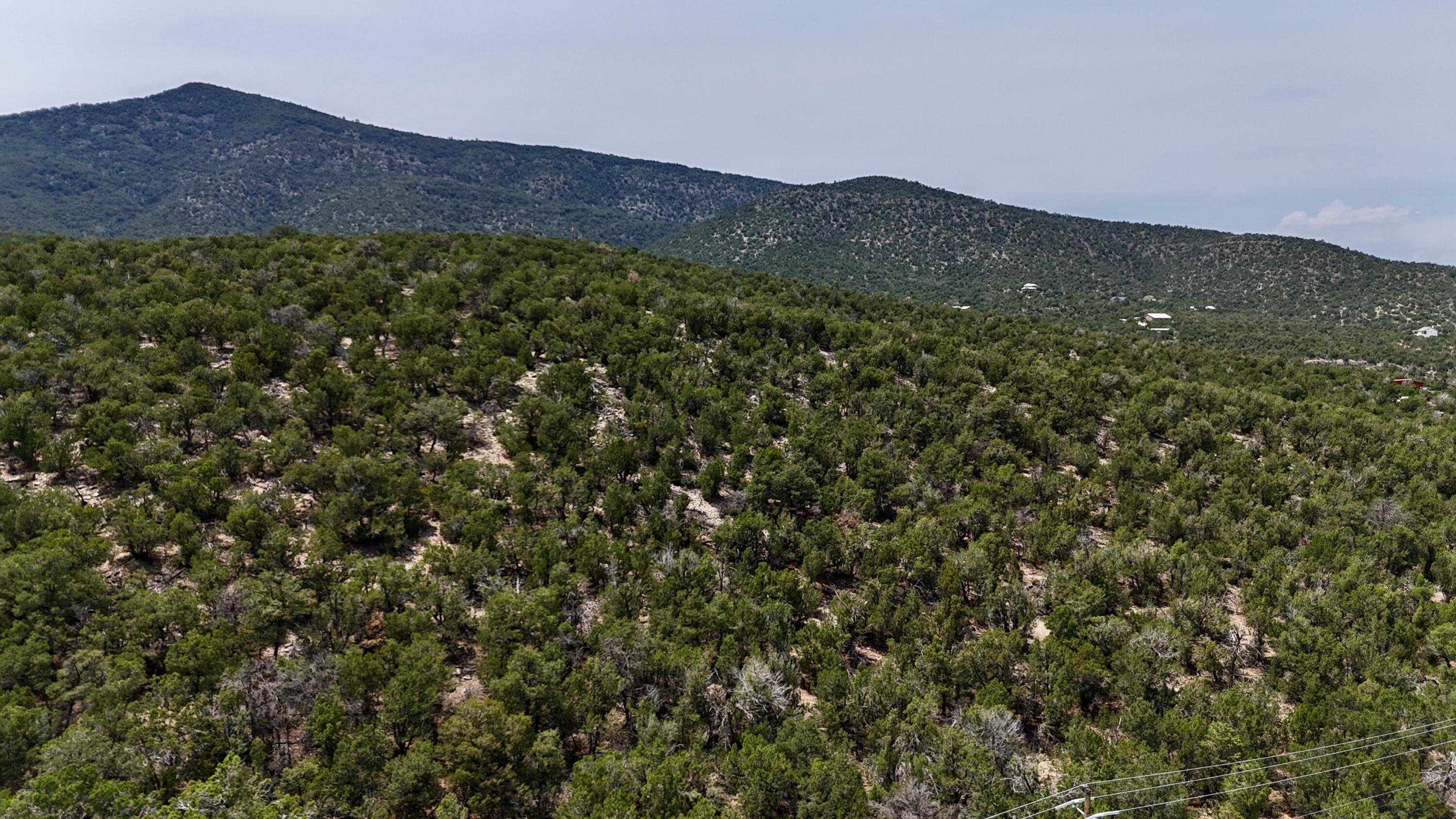 Sandia Park, NM 87047