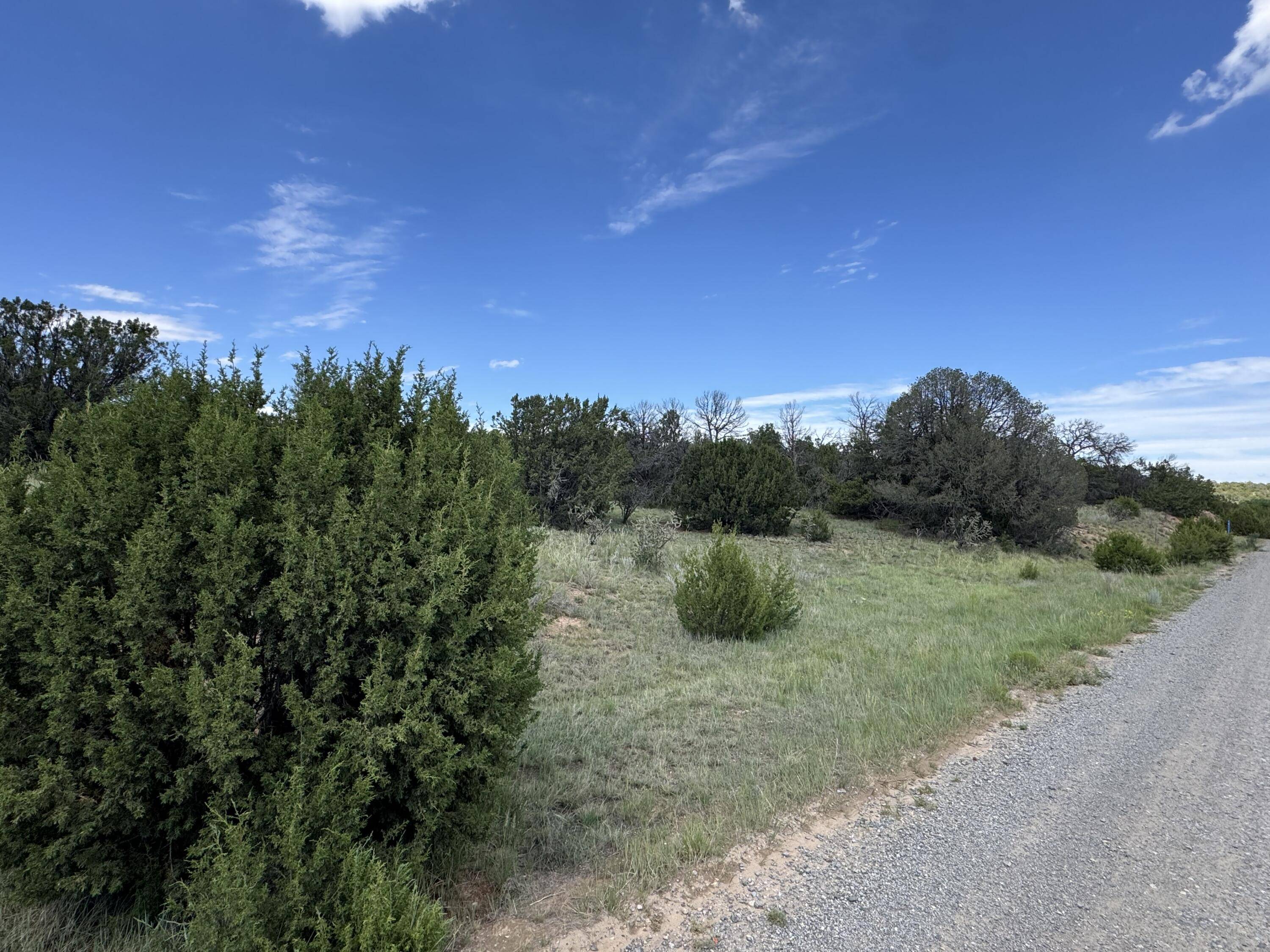 Edgewood, NM 87015,54 LAS COLINAS RD