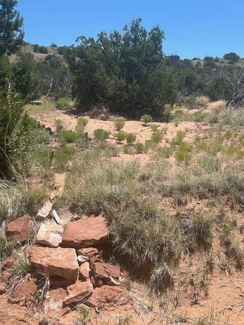 Placitas, NM 87043,278 Star Meadow RD