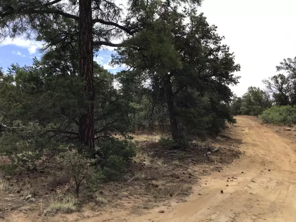 Ramah, NM 87321,84 Coyote Canyon RD